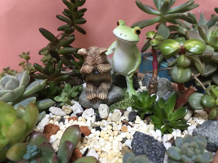 frog, plant, cubs, representation, nature, no people, human representation HD wallpaper