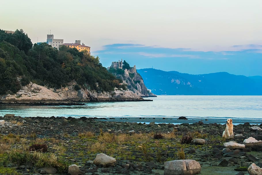 duino, castle, dog, palace, golf, water, sea, rock, rock - object HD wallpaper