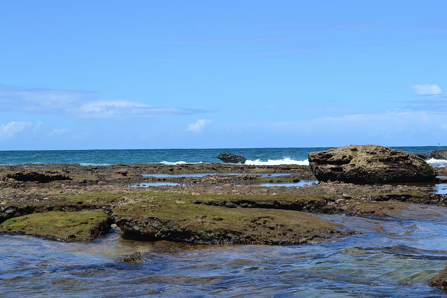 beach, mar, sol, salvador, bahia, brazil, beira mar, natural, HD wallpaper