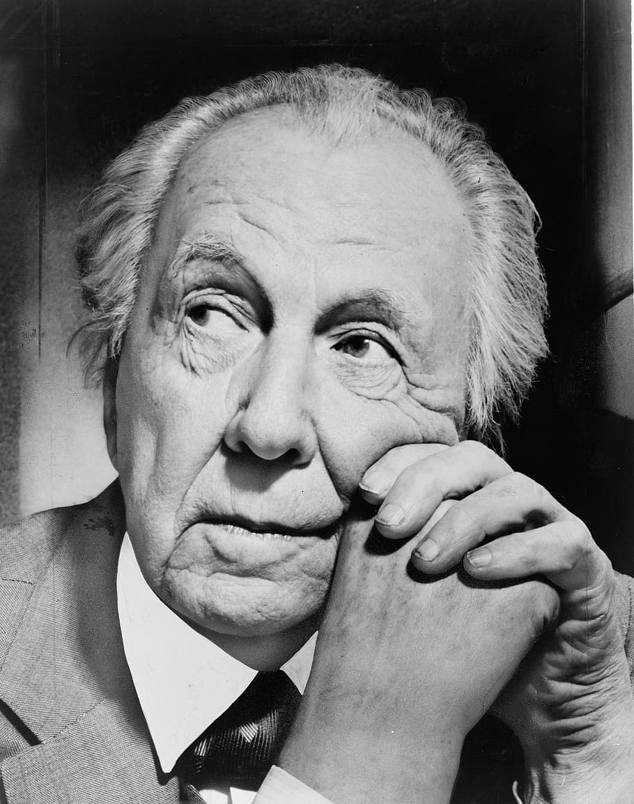 man in gray suit jacket, frank lloyd wright, american architect HD wallpaper