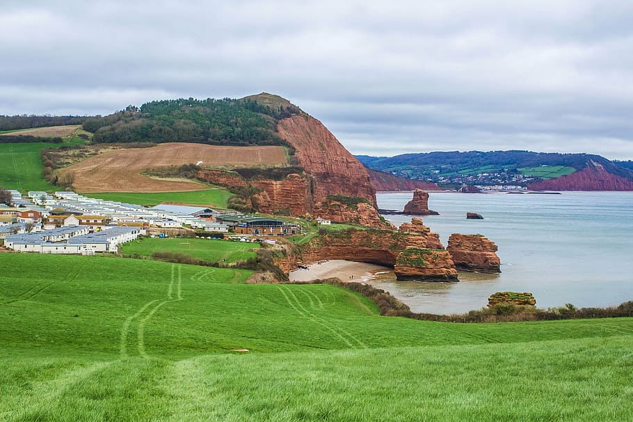 green grass near sea, coast, reefs, devon, england, cloud - sky HD wallpaper