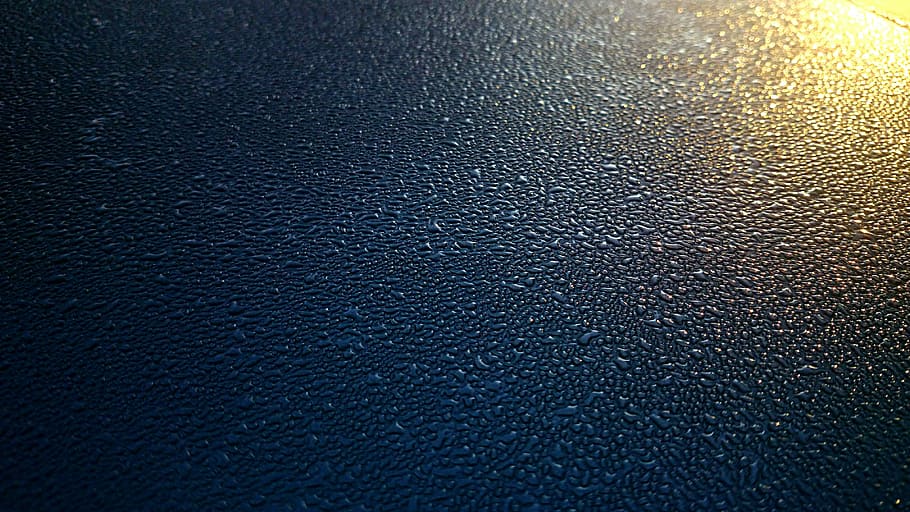 blue, yellow, dew, background, texture, wallpaper, water, drops HD wallpaper
