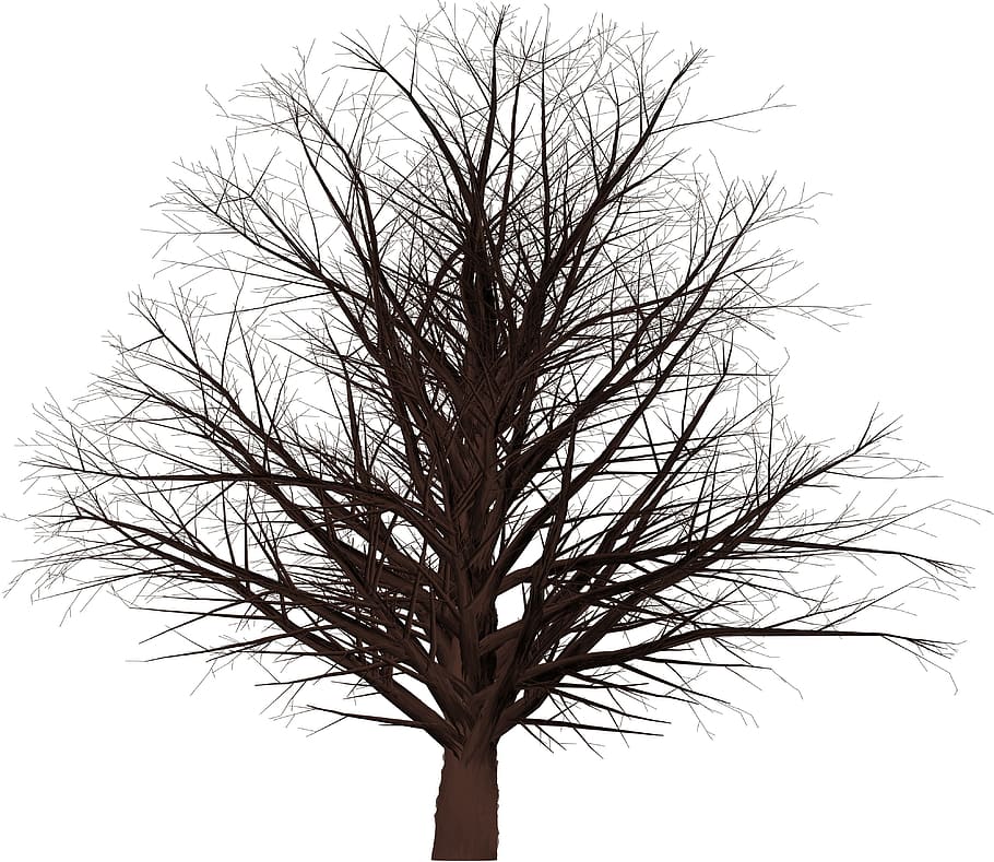 tree, 3d, masked, plant, nature, autumn, winter, forest, transience HD wallpaper