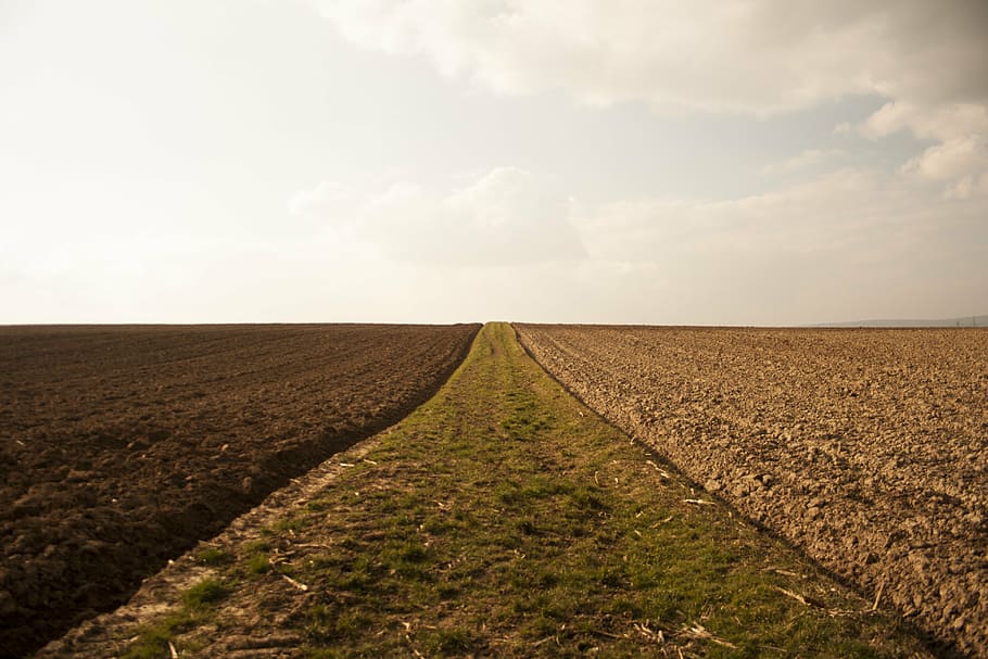 fields, arable, environment, nature, landscape, sky, agriculture HD wallpaper