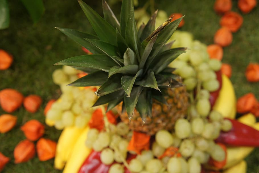 pineapple, fruit, exotic, plant, plant part, leaf, growth, freshness HD wallpaper