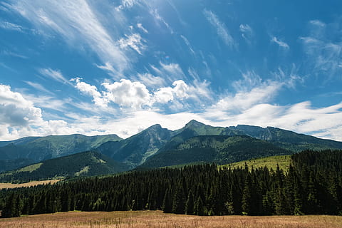 High, Tatra, Border, Poland, Slovakia, land borders, mountains HD wallpaper