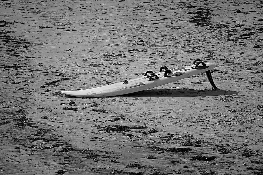board, sailing, pla, che sailing, sport, leisure, relax, water HD wallpaper