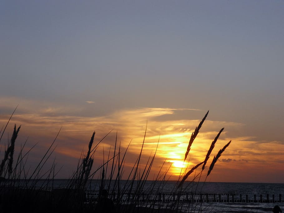 zingst, evening, sunset, baltic sea, darß, beach, nature, dusk HD wallpaper