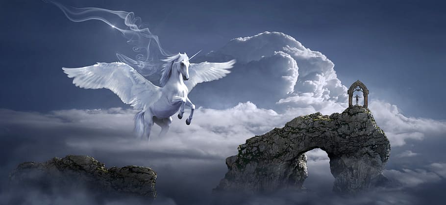 pegasus on cloud with man on hill illustration, fantasy, horse