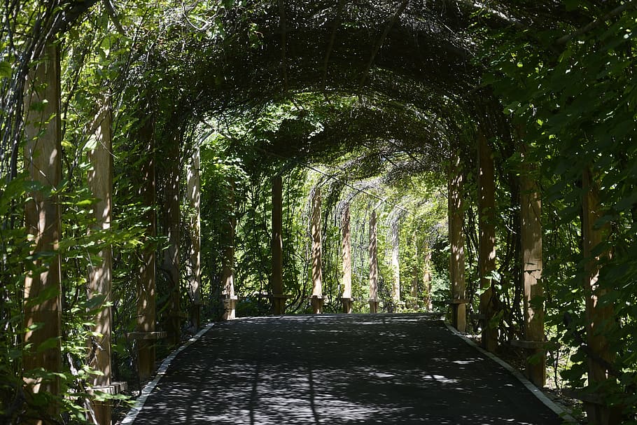 concrete pathway with arch, shenyang, botanical garden, corridor, HD wallpaper