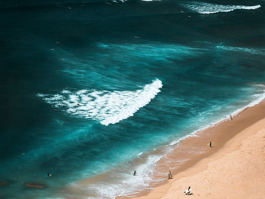 aerial photography ofpeople carrying surfboards on shore, group of people on seashore HD wallpaper