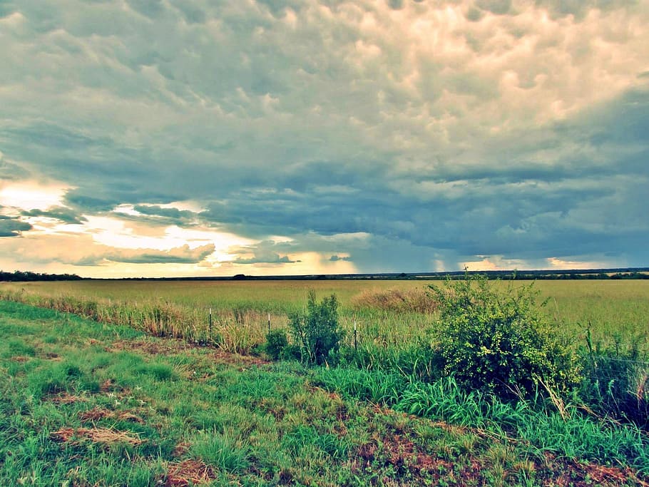 green grass field under white clouds, texas, sky, storm, cloud - sky HD wallpaper