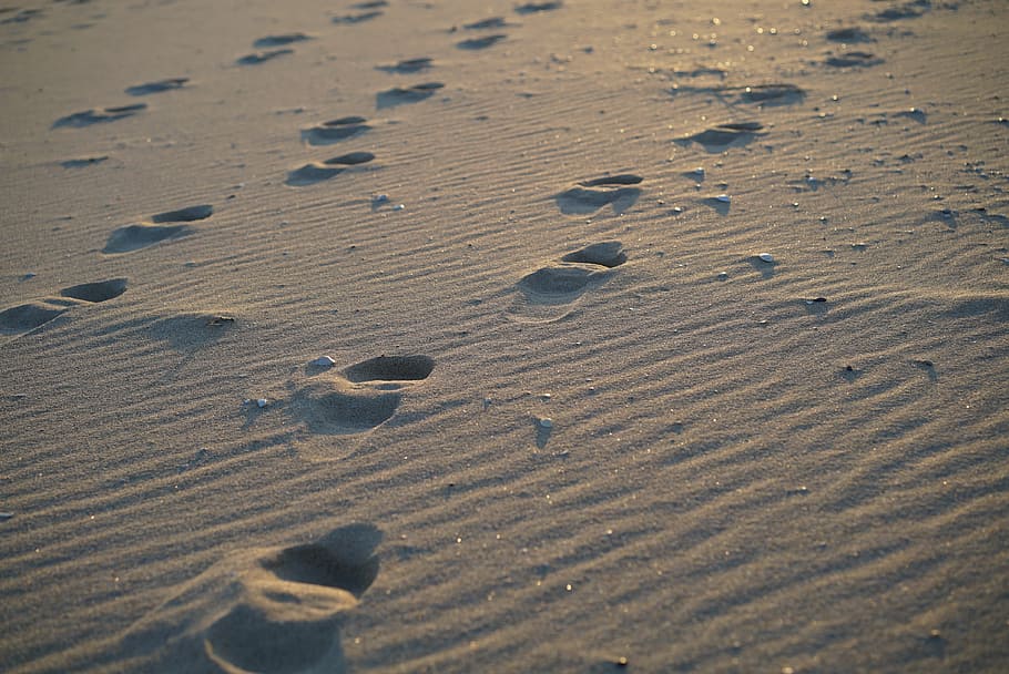 footprints on sand, beach, sea, winter sea, sandy, gangwon do, HD wallpaper