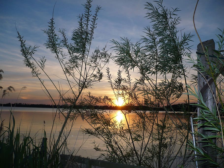 abendstimmung, sunset, romance, water, beauty in nature, sky HD wallpaper