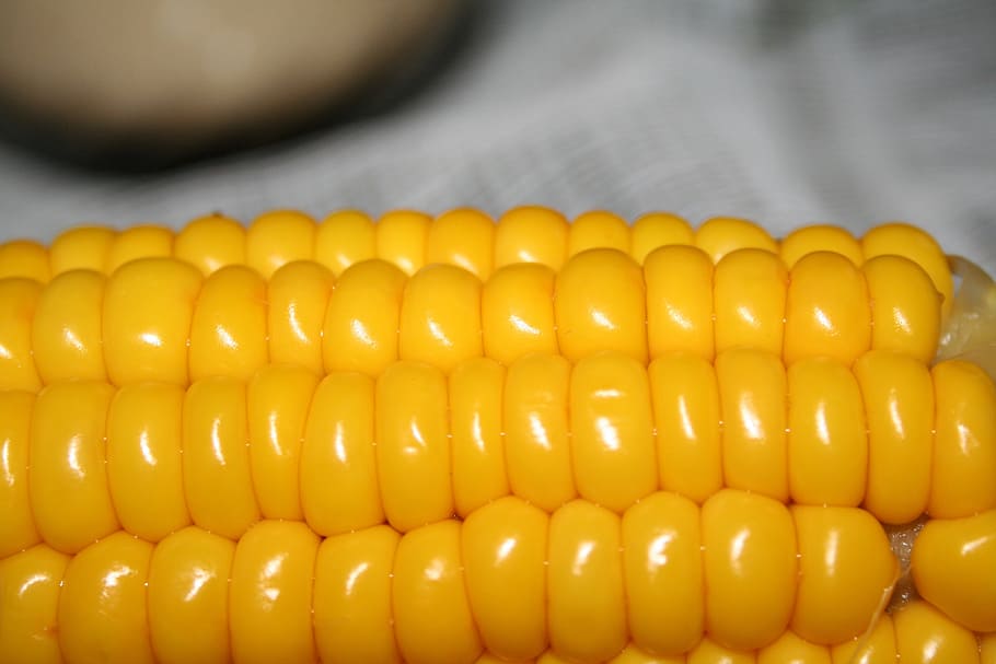 macro photography of corn, the flask, cooked, food, vegetable HD wallpaper