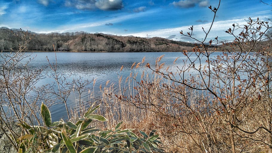 Lake, Beautiful, Landscape, nature, scenics, water, outdoors HD wallpaper