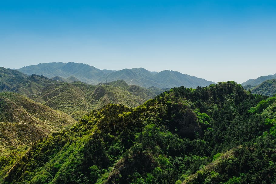 birds eye view of forest, tree covered mountain during day, green mountains HD wallpaper