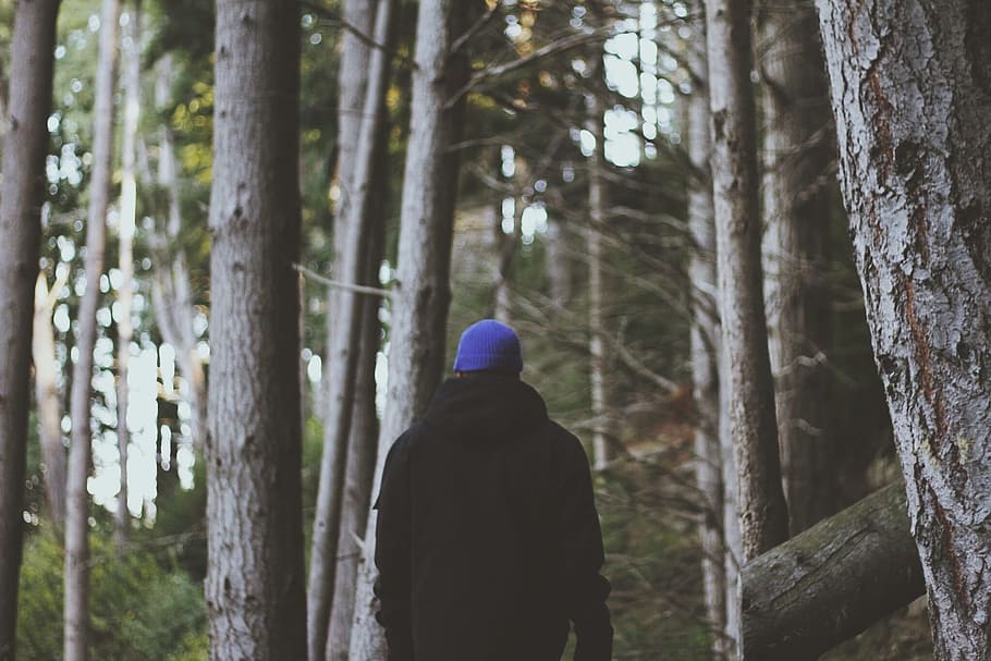 person wearing black jacket walking in the woods, hipster, man