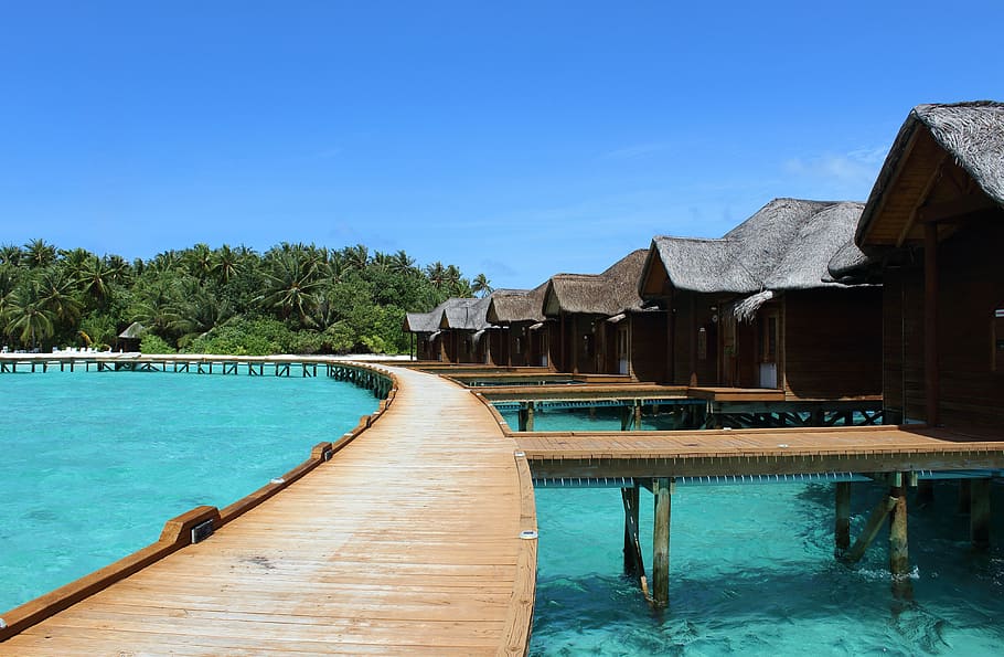 maldives-holiday-sea-water.jpg