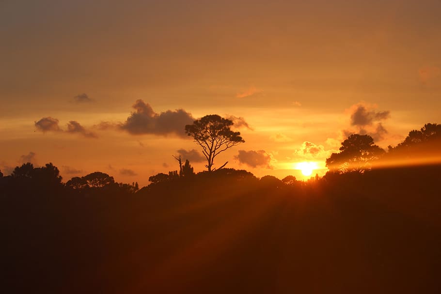 sunset, evening, landscape, light, cloud, sky, horizon, dusk HD wallpaper