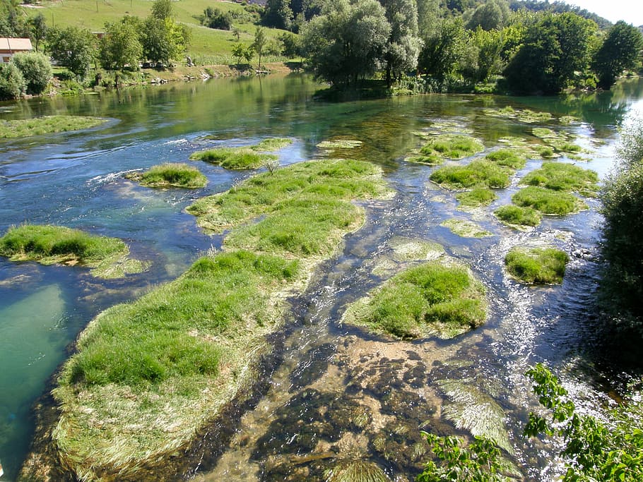 Swamp, Low Water, River, no people, day, aerial view, outdoors HD wallpaper