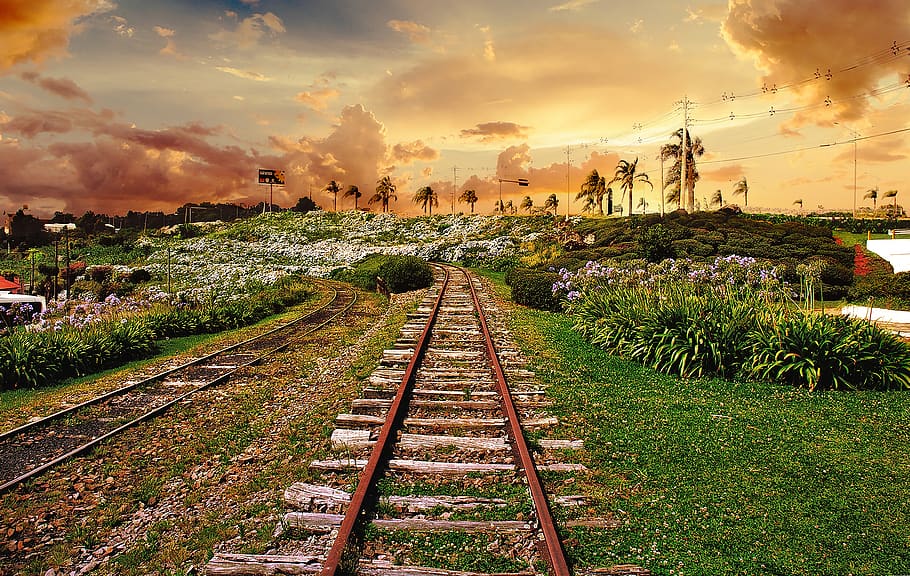 railroad, train, sky, cloud - sky, sunset, track, rail transportation HD wallpaper