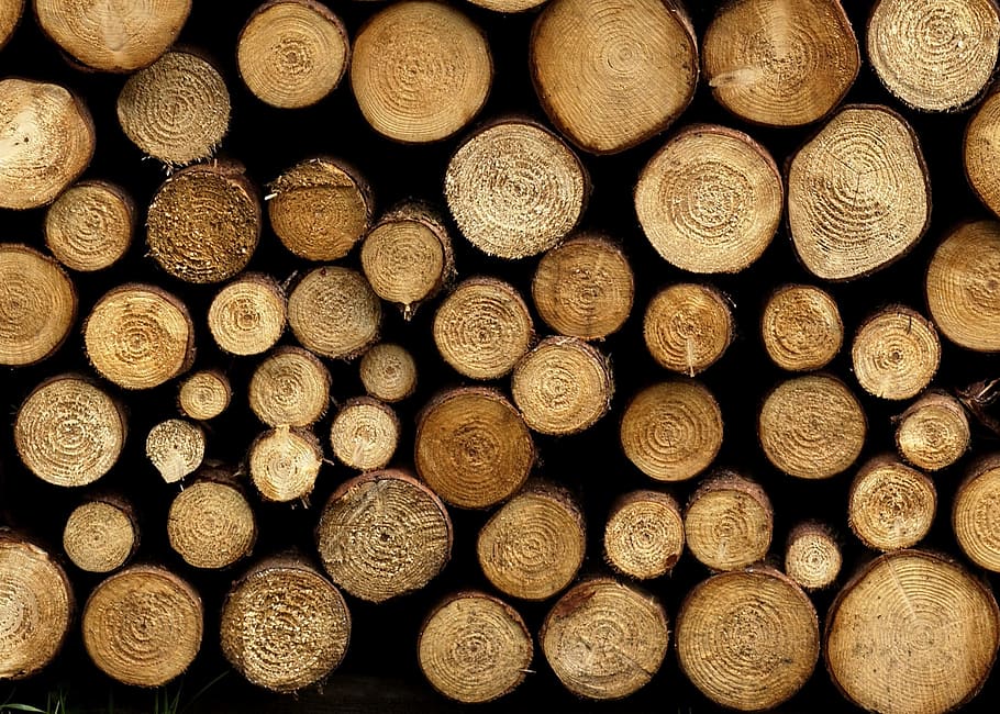 wood, texture, trunks, full frame, backgrounds, large group of objects HD wallpaper