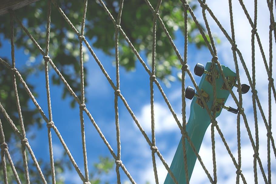 still, items, things, guitar, netting, mesh, rope, trees, leaves HD wallpaper