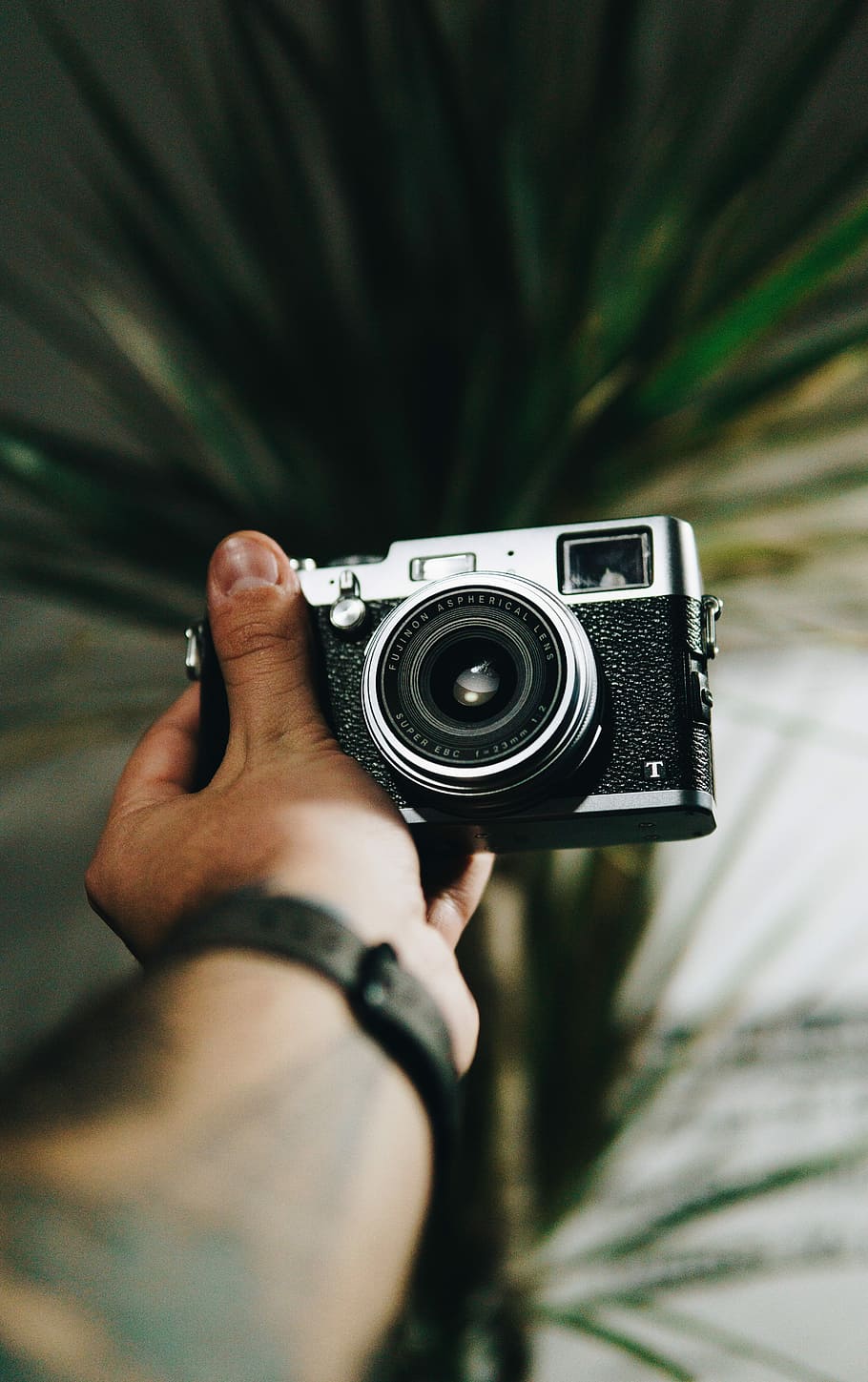 person holding black and gray SLR camera, person holding camera against palm tree HD wallpaper