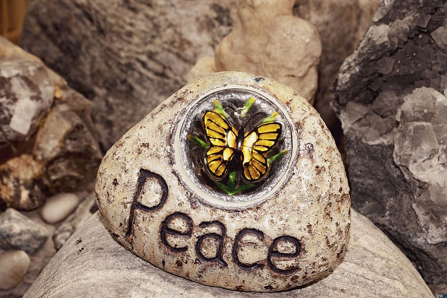 features, butterfly, insects, solid, rock, rock - object, no people HD wallpaper