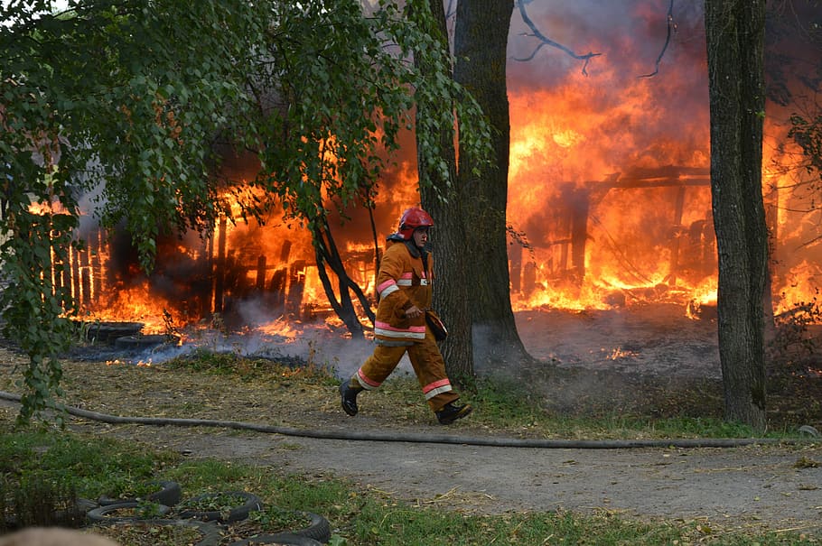 fire, hot, firefighter, trees, burn, stew, flame, wood, flaming HD wallpaper