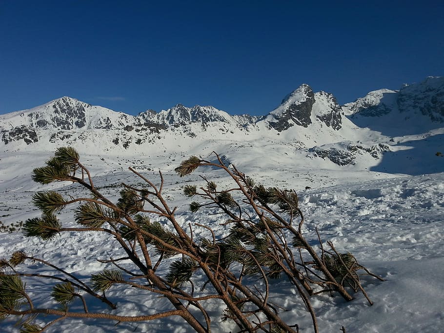 Mountains, Tatry, Winter, snow, cold temperature, outdoors HD wallpaper