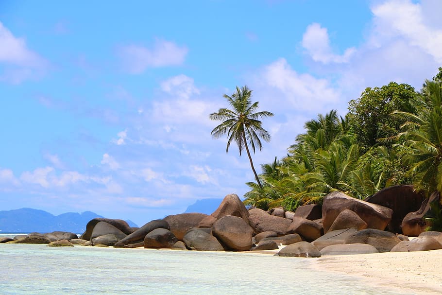beach, seychelles, tropical, ocean, sea, sand, travel, island HD wallpaper