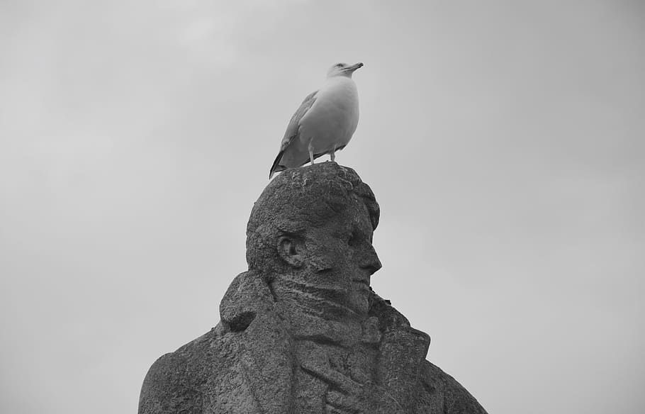statue, françois rené châteaubriant, seagull, saint malo, HD wallpaper