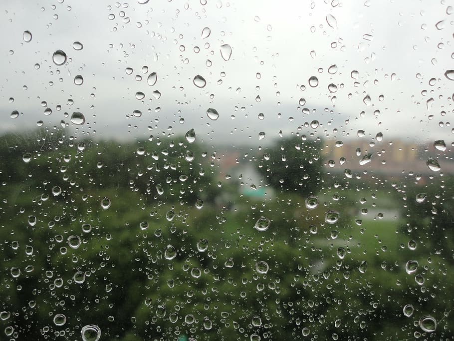 water, rain, drops, damp, wet, city, rainy, raining, drop of rain HD wallpaper