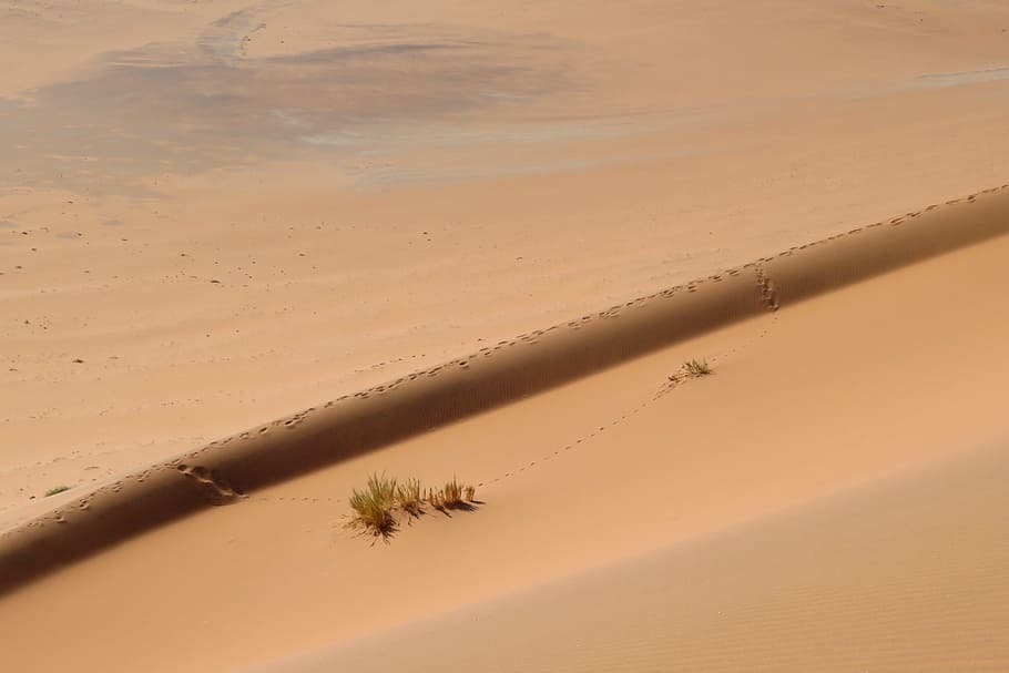 sand, dune, background, screen, desert, traces, not, human, HD wallpaper