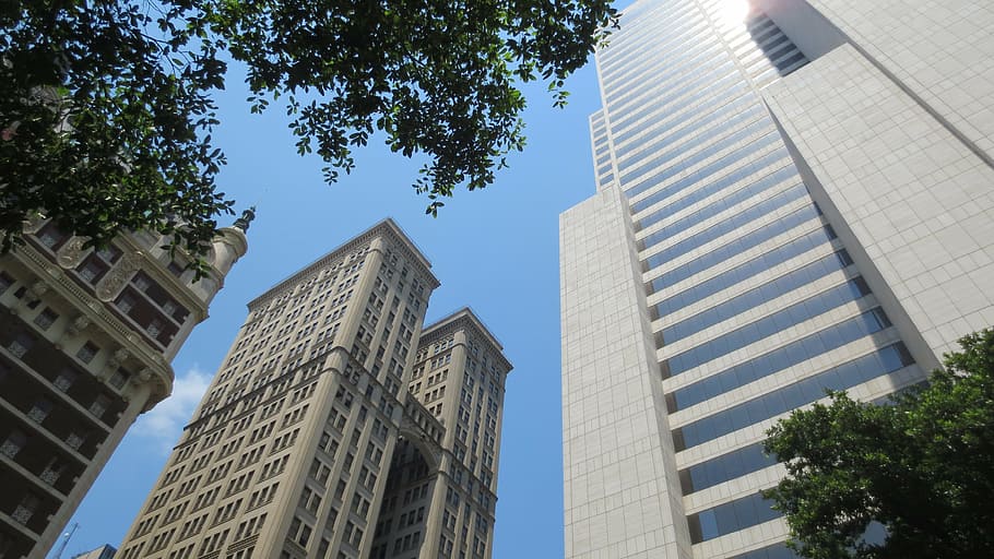 sky, high buildings, skyscraper, trees, green, blue, grey, city HD wallpaper