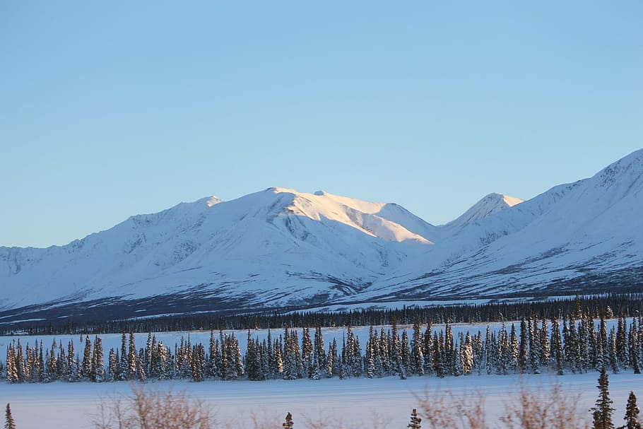 Alaska, Mountain, White, Cold, Winter, snow, scenic, wilderness HD wallpaper