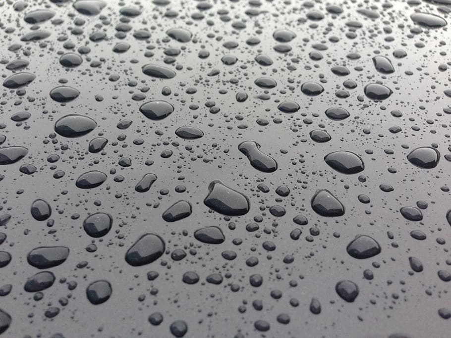 drops, rain, water, wet, full frame, backgrounds, close-up HD wallpaper