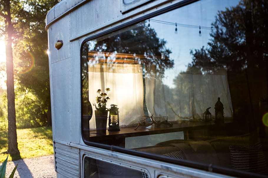 trees reflecting on caravan window, gray car with glass window HD wallpaper