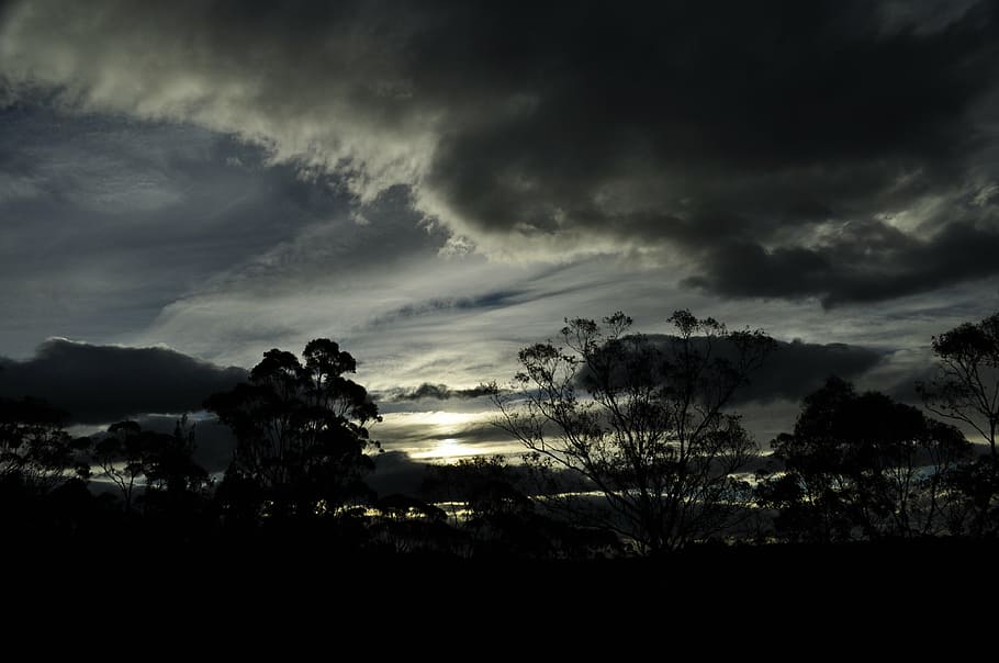 sunset, clouds, trees, nature, scene, evening, twilight, weather HD wallpaper