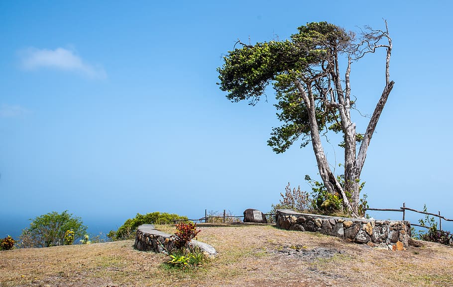 monument, hilltop, st vincent and the grenadines, bequia, plant, HD wallpaper