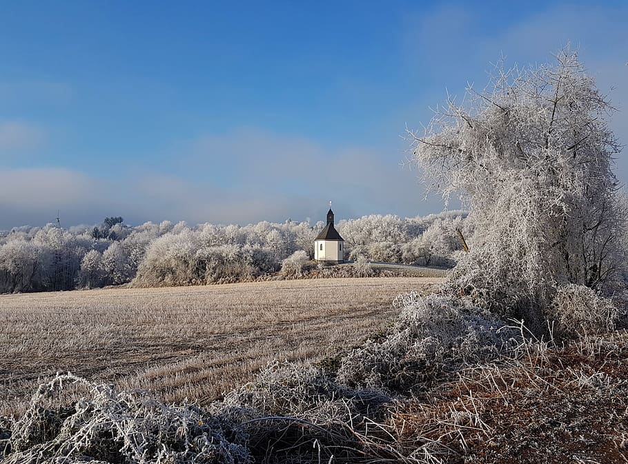 Winter, Chapel, Snow, Wintry, Landscape, church, snowy, cold HD wallpaper