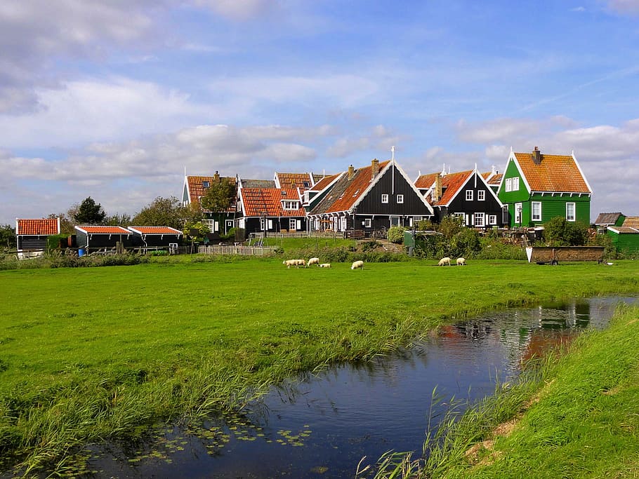 نصائح سفر للسياح الذين يزورون مدينة أمستردام الهولندية