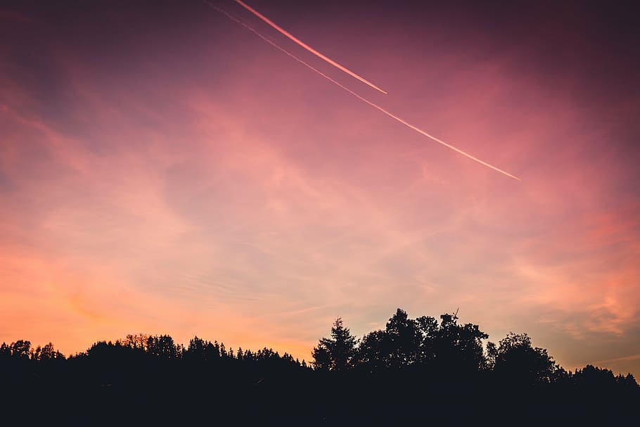 silhouette of trees, tall, maroon, sky, sunset, dusk, contrails HD wallpaper