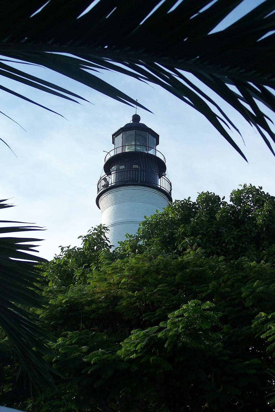 lighthouse, key west, florida, tree, plant, built structure