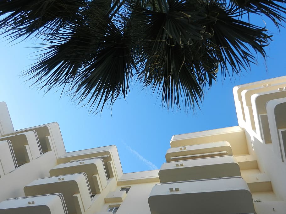 hotel complex, palm trees, homes, sky, building, architecture, HD wallpaper