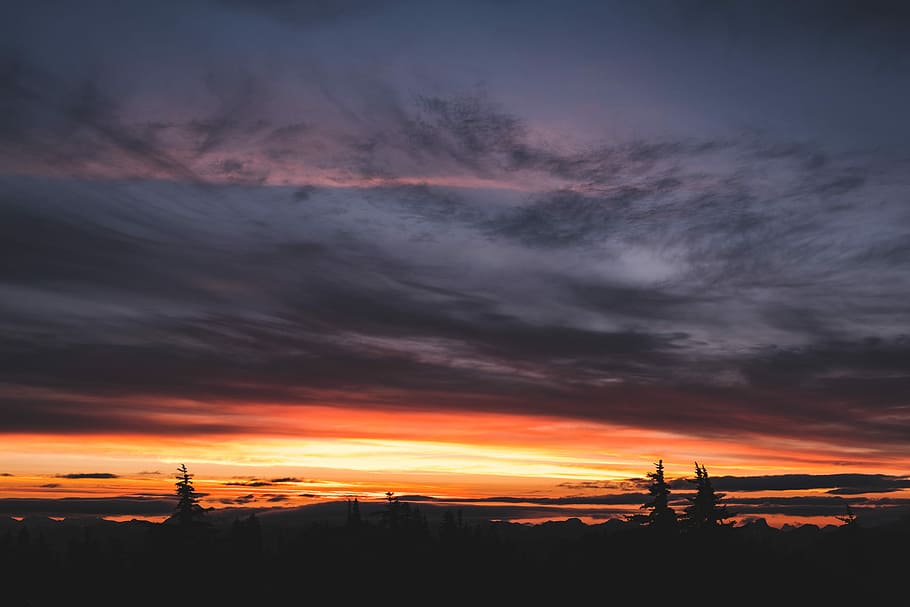 sunset silhouette photo of trees under cloudy skies, landscape photo during golden hour HD wallpaper