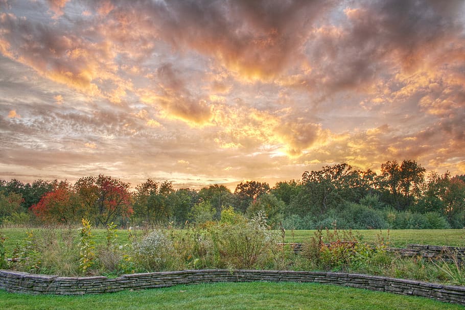 facade of forest, Sunset, Fall, Hdr, Nature, Autumn, landscape HD wallpaper