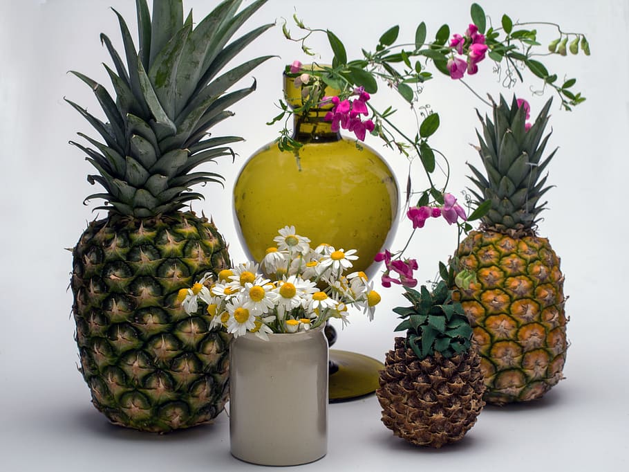Still Life, Fruit, Pineapple, Flowers, flower vase, studio shot HD wallpaper